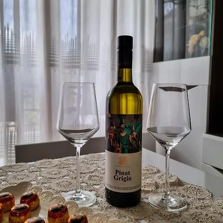 Apartmán Nevena Vrnjačka Banja